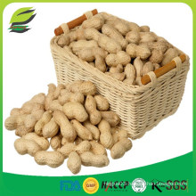 China raw peanuts in shell